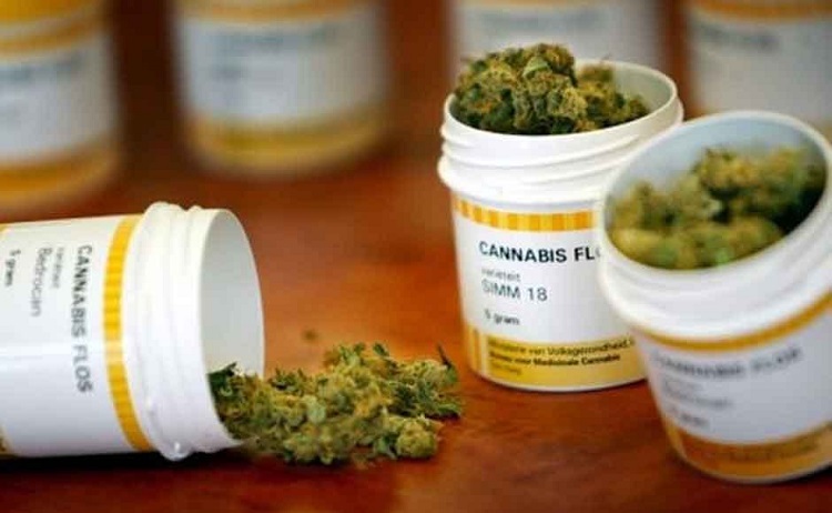 Supuesto uso medicinal de cannabis: las razones por las que cada